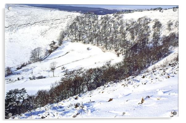 Winter in the North Yorkshire Moors Acrylic by David Mather