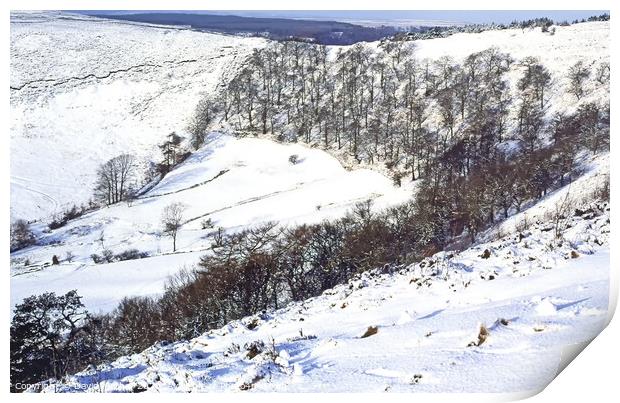 Winter in the North Yorkshire Moors Print by David Mather