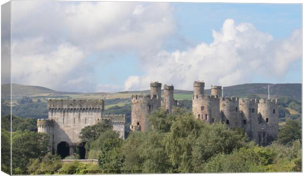 Conway Castle Canvas Print by chris hyde