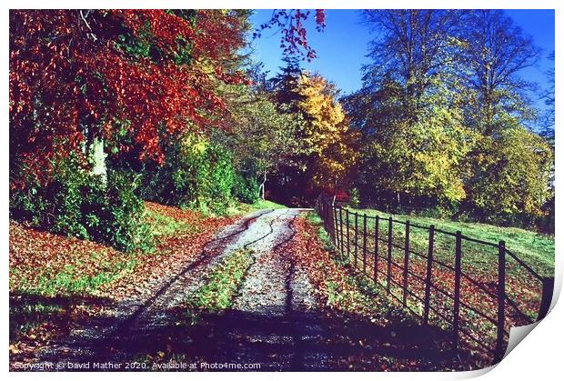 The colours of Autumn Print by David Mather