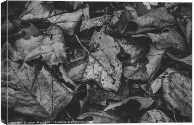 Autumn Leaves Canvas Print by Jason Atack