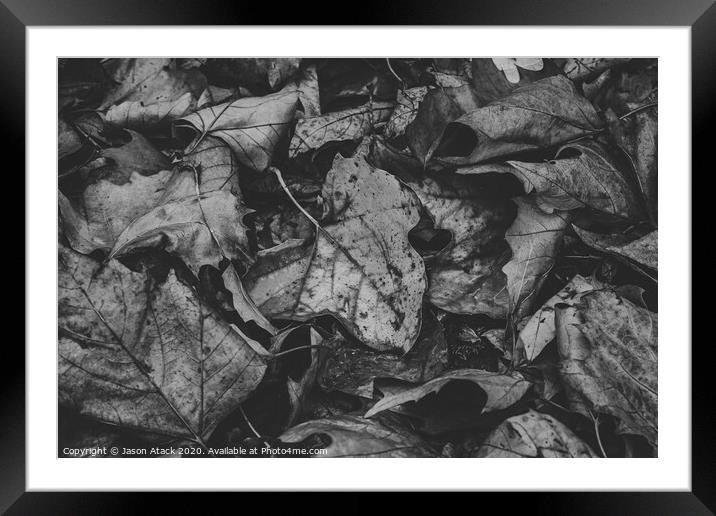 Autumn Leaves Framed Mounted Print by Jason Atack