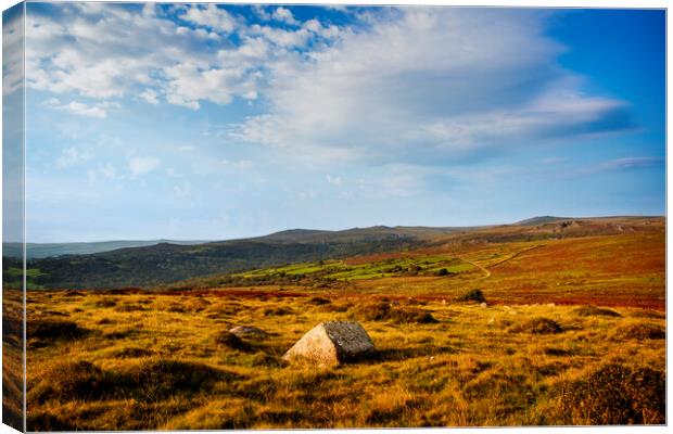 Dartmoor Panorama Canvas Print by Maggie McCall