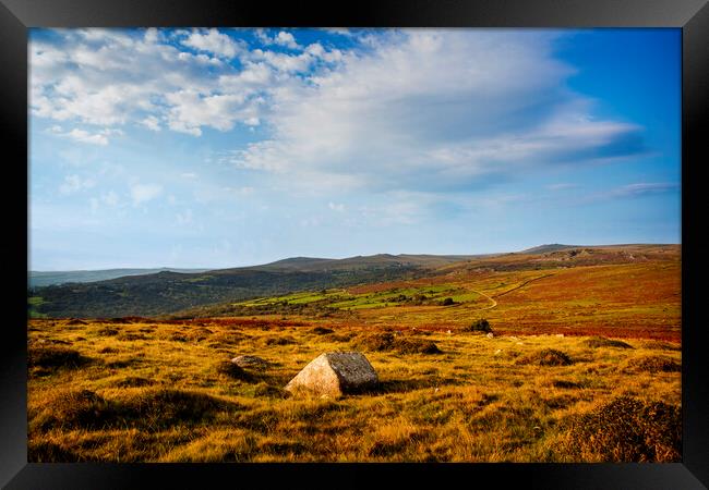 Dartmoor Panorama Framed Print by Maggie McCall