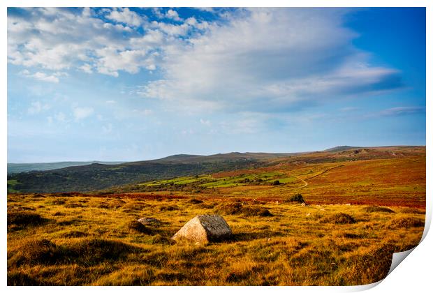 Dartmoor Panorama Print by Maggie McCall