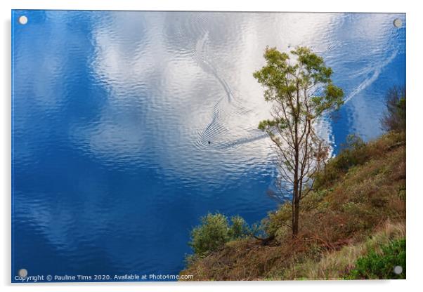 The Blue Lake, Mount Gambier Acrylic by Pauline Tims