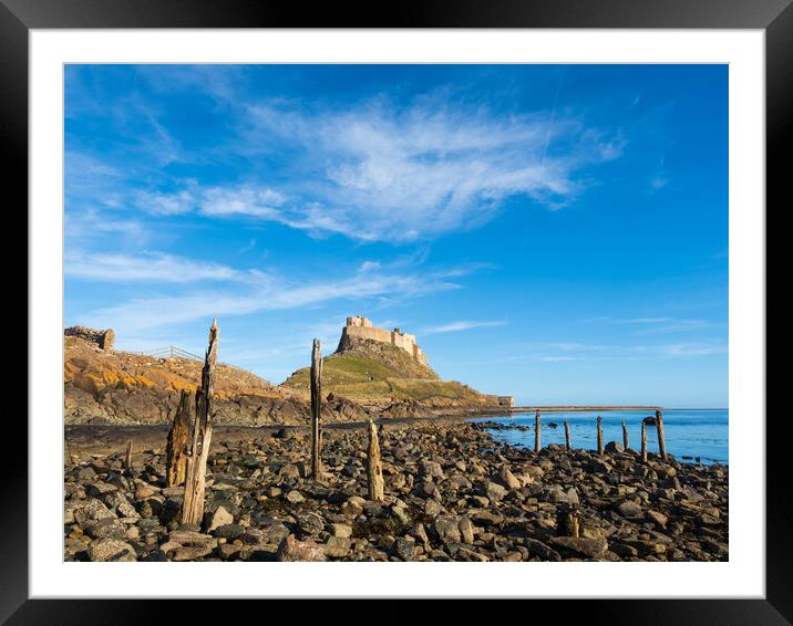 Lindisfarne Castle, Holy Island. Framed Mounted Print by Tommy Dickson