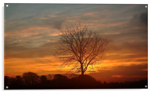 Cotswold sunrise Acrylic by Simon Johnson