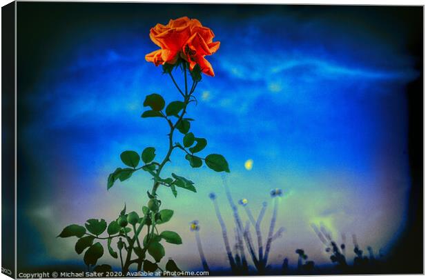 A Rose by Moonlight Canvas Print by Michael W Salter
