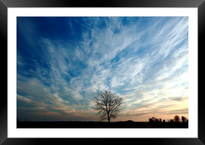 Isolated tree at dawn  Framed Mounted Print by Simon Johnson