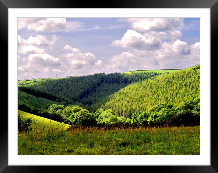Devon Landscape Framed Mounted Print by val butcher