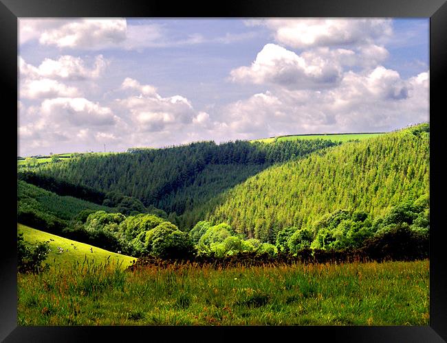 Devon Landscape Framed Print by val butcher