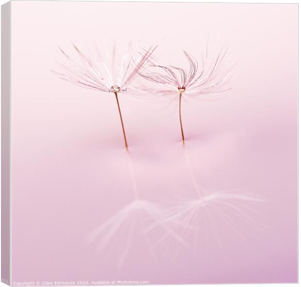 Dandelion twins  Canvas Print by Clare Edmonds