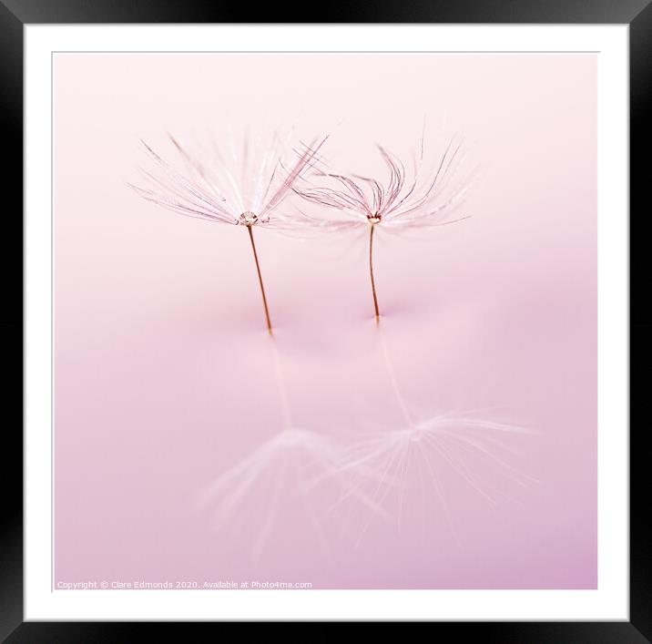 Dandelion twins  Framed Mounted Print by Clare Edmonds