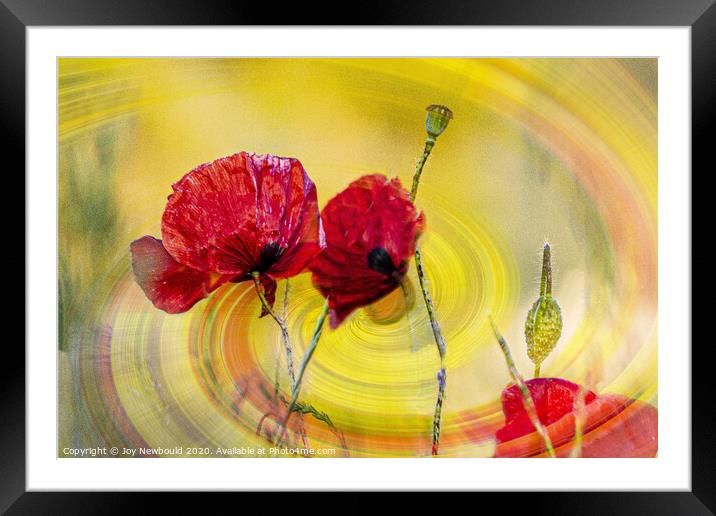 Poppies Digital Art  Framed Mounted Print by Joy Newbould