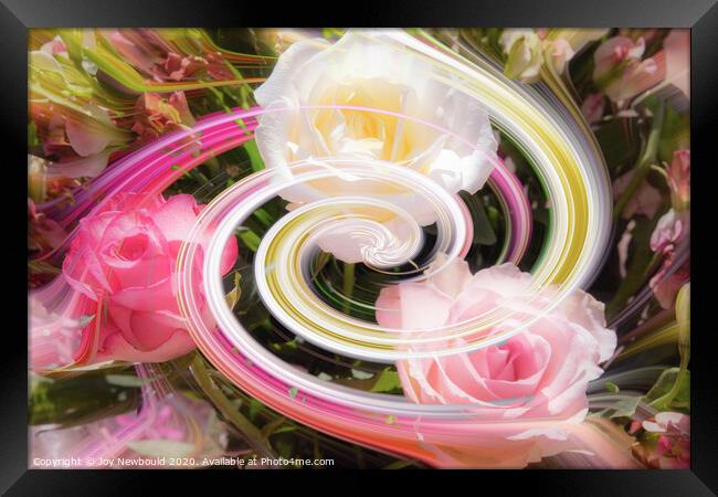 Roses Digital Art  Framed Print by Joy Newbould