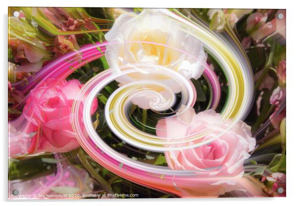 Roses Digital Art  Acrylic by Joy Newbould