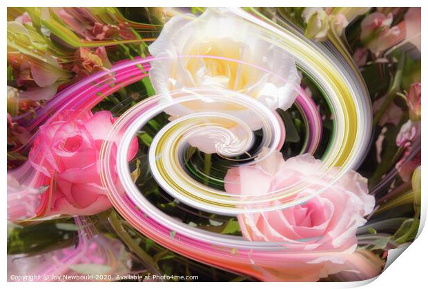 Roses Digital Art  Print by Joy Newbould
