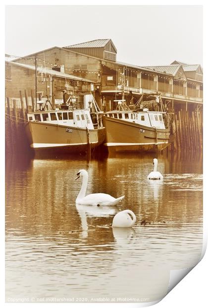 Looe Fish Market, Cornwall. Print by Neil Mottershead