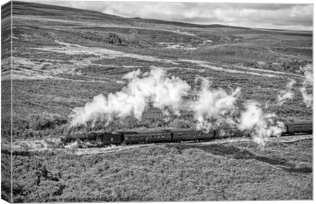 King Edward II On The Moors - Black and White Canvas Print by Steve H Clark