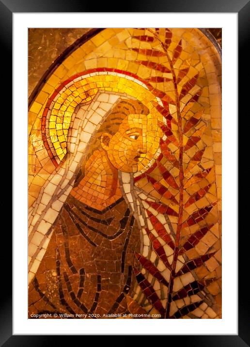 Angel Palm Frond Mosaic Monastery Montserrat Catalonia Spain Framed Mounted Print by William Perry