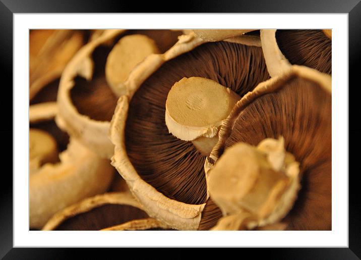 Mushrooms Framed Mounted Print by Lise Baker
