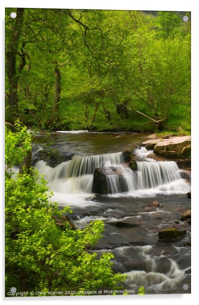 Taf Fechan Stream and waterfalls Brecon Acrylic by Chris Warren