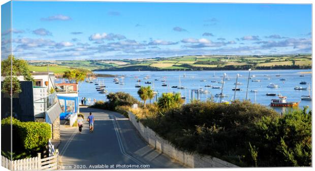 Rock and the Camel Estuary, Cornwall Canvas Print by Chris Harris
