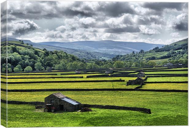 Dalescape ~ Swaledale, The Dales #4 Canvas Print by Sandi-Cockayne ADPS