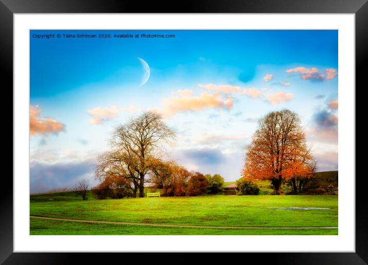 Dreamy November Morning in the Park Framed Mounted Print by Taina Sohlman