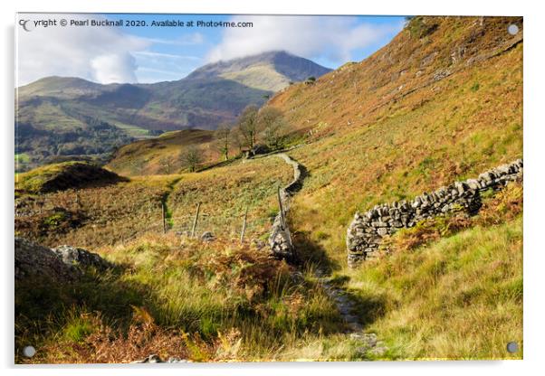 Leading to Moel Hebog in Snowdonia Acrylic by Pearl Bucknall
