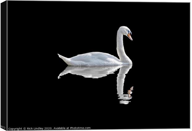 Swan Canvas Print by Rick Lindley