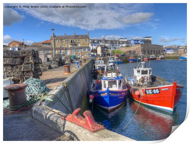Fishing Boats at Seahouses Harbour Cropped Print by Philip Brown
