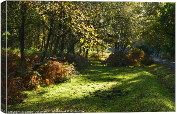 Autumn in The New Forest Canvas Print by Lawson Jones