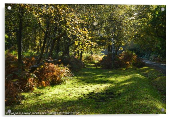 Autumn in The New Forest Acrylic by Lawson Jones