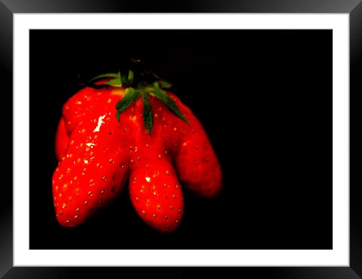strawberry Framed Mounted Print by rachael hardie
