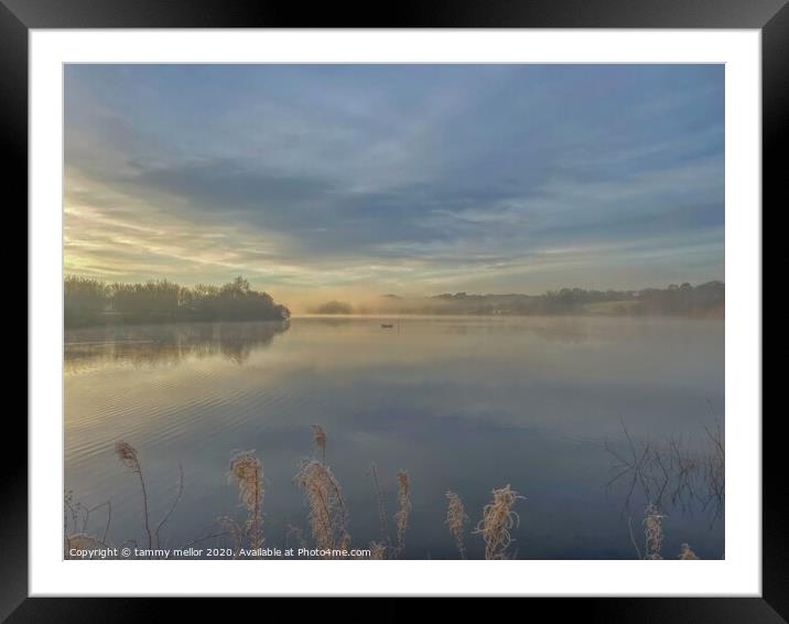 Majestic Morning Sky Framed Mounted Print by tammy mellor