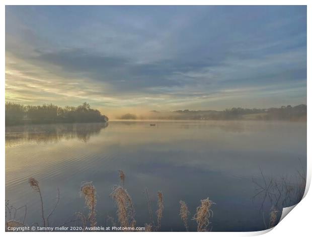 Majestic Morning Sky Print by tammy mellor