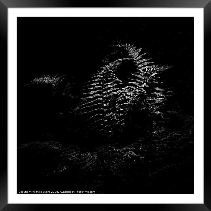 Dancing Ferns (Mono) Framed Mounted Print by Mike Byers