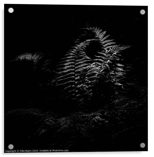 Dancing Ferns (Mono) Acrylic by Mike Byers