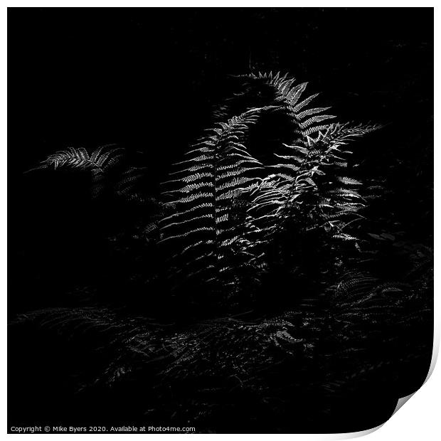 Dancing Ferns (Mono) Print by Mike Byers