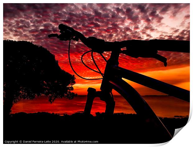 Mountain Bike Parked at Waterfront Park Print by Daniel Ferreira-Leite