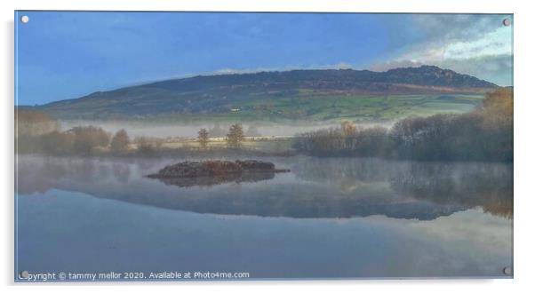 Misty Morning at Tittesworth Lake Acrylic by tammy mellor