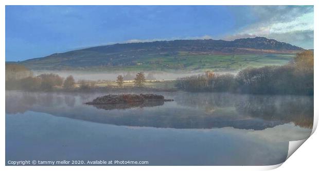 Misty Morning at Tittesworth Lake Print by tammy mellor