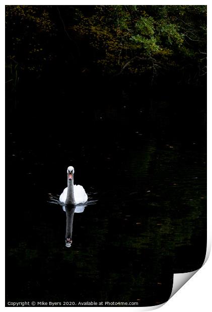 "Graceful Swan Glides Through Autumn Serenity" Print by Mike Byers