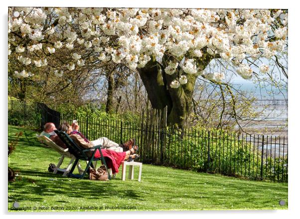 Couple chilling out on recliners on the slopes at Westcliff on Sea, Essex. Acrylic by Peter Bolton