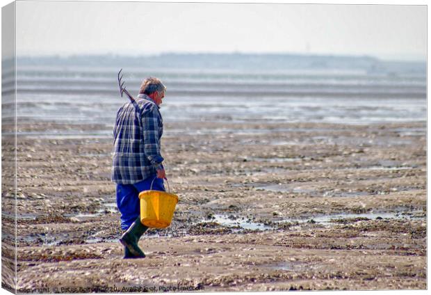 'The bait digger', Thorpe Bay, Essex, UK.  Canvas Print by Peter Bolton