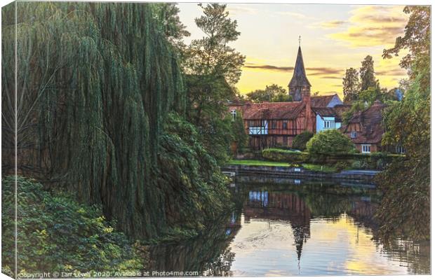 Thames Backwater at Whitchurch Canvas Print by Ian Lewis