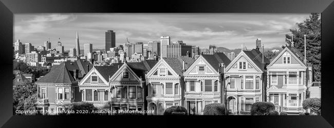 Painted Ladies & San Francisco Skyline | Monochrome Framed Print by Melanie Viola