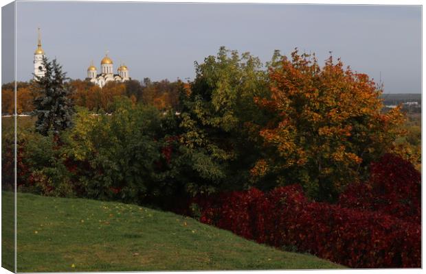 Beautiful autumn panorama, landscape, top view, Canvas Print by Karina Osipova